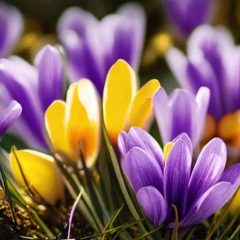 Use a medium-shot lens for 8K clarity in a fashion-style photo. A striking young male designer stands boldly