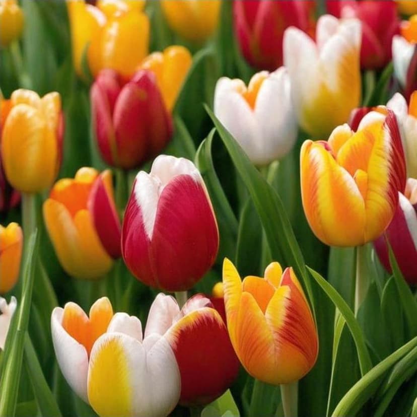 A grainy vintage shot of an 80s computer lab with retro tech