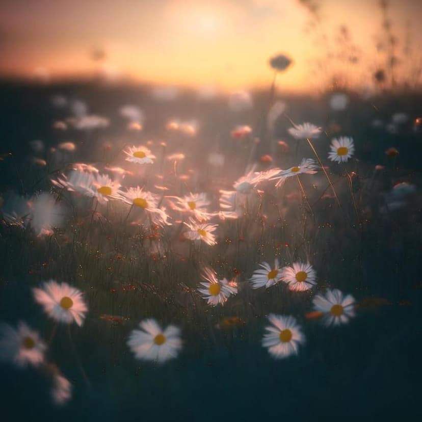 A retro-style poster of Sofia